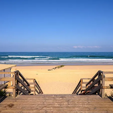 Neuf 3* A 100m De L'ocean Avec Piscine Pour 8 Personnes - Menage Inclus - Fr-1-50-113 Mimizan-Plage